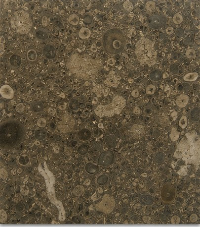 Oceanic Marble Tile item 0197 – Pakistani onyx marble by Pak Expo